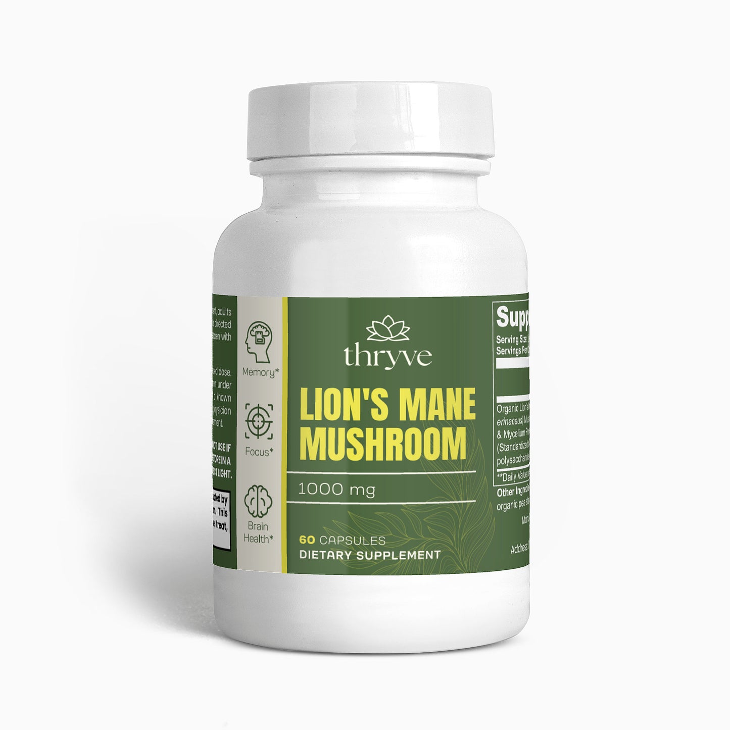 Lion's Mane Mushroom